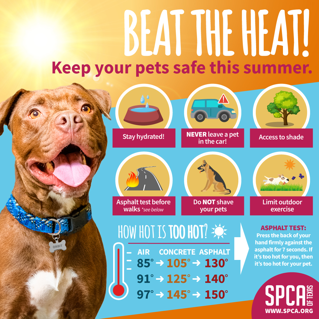 BEAT-THE-HEAT